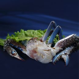 BLUE CRABS CLEANED & HALF CUT. HALF KG