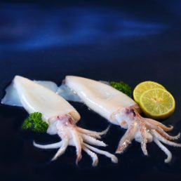 CALAMARI WHOLE CLEAN. HALF KG