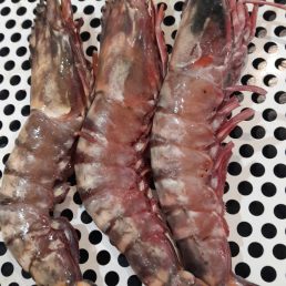 Jumbo Tiger Prawns – 4-5 Pieces Per Kg .