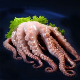 SMALL OCTOPUS WHOLE CLEAN. PRICE PER HALF KG