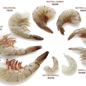 "Get the finest prawns, packed with freshness and rich flavor!